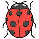 پیش‌نمایش فایل ladybird-1540362 از پک فصل