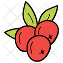 پیش‌نمایش فایل plum-1540342 از پک فصل