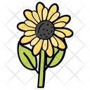 پیش‌نمایش فایل sunflower-1540389 از پک فصل