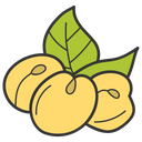 پیش‌نمایش فایل apricot-1540594 از پک پیک‌نیک