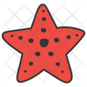 پیش‌نمایش فایل starfish-1540586 از پک پیک‌نیک