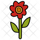 پیش‌نمایش فایل flower-1544214 از پک جشنواره‌ها