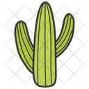 پیش‌نمایش فایل cactus-1541981 از پک غذا