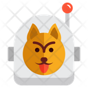 پیش‌نمایش فایل space-animal-1552723 از پک فضا و کیهان
