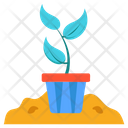 پیش‌نمایش فایل space-plant-1552725 از پک فضا و کیهان