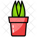 پیش‌نمایش فایل aloe-vera-1557129 از پک خانواده و خانه
