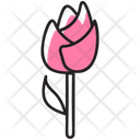 پیش‌نمایش فایل flower-1571282 از پک روز ولنتاین
