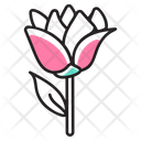 پیش‌نمایش فایل flower-1571319 از پک روز ولنتاین