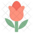 پیش‌نمایش فایل rose-1581226 از پک شکلک‌ها