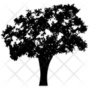 پیش‌نمایش فایل title-1668354 از پک درخت فضای باز