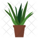 پیش‌نمایش فایل aloe-potted-plant-1668222 از پک گیاهان آپارتمانی زینتی