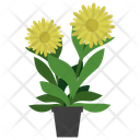 پیش‌نمایش فایل arnica-potted-plant-1668149 از پک گیاهان آپارتمانی زینتی