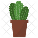 پیش‌نمایش فایل astrophytum-potted-plant-1668204 از پک گیاهان آپارتمانی زینتی