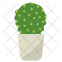 پیش‌نمایش فایل ball-cactus-plant-1668198 از پک گیاهان آپارتمانی زینتی
