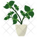 پیش‌نمایش فایل basil-potted-plant-1668195 از پک گیاهان آپارتمانی زینتی
