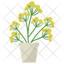 پیش‌نمایش فایل blue-tansy-plant-1668191 از پک گیاهان آپارتمانی زینتی