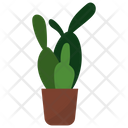 پیش‌نمایش فایل cactus-potted-plant-1668159 از پک گیاهان آپارتمانی زینتی