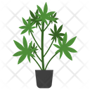 پیش‌نمایش فایل castor-potted-plant-1668146 از پک گیاهان آپارتمانی زینتی