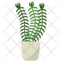 پیش‌نمایش فایل club-moss-plant-1668137 از پک گیاهان آپارتمانی زینتی