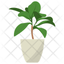 پیش‌نمایش فایل codiaeum-potted-plant-1668230 از پک گیاهان آپارتمانی زینتی