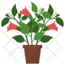 پیش‌نمایش فایل datura-potted-plant-1668139 از پک گیاهان آپارتمانی زینتی
