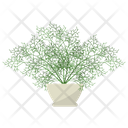 پیش‌نمایش فایل dill-potted-plant-1668192 از پک گیاهان آپارتمانی زینتی