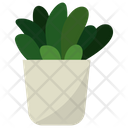 پیش‌نمایش فایل echeveria-indoor-plant-1668200 از پک گیاهان آپارتمانی زینتی