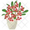 پیش‌نمایش فایل euphorbia-milii-plant-1668215 از پک گیاهان آپارتمانی زینتی