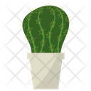 پیش‌نمایش فایل ferocactus-potted-plant-1668203 از پک گیاهان آپارتمانی زینتی