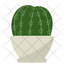 پیش‌نمایش فایل ferocactus-potted-plant-1668211 از پک گیاهان آپارتمانی زینتی