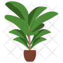 پیش‌نمایش فایل fiddle-leaf-fig-1668156 از پک گیاهان آپارتمانی زینتی