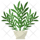 پیش‌نمایش فایل ginger-potted-plant-1668181 از پک گیاهان آپارتمانی زینتی