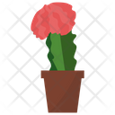 پیش‌نمایش فایل gymnocalycium-potted-plant-1668214 از پک گیاهان آپارتمانی زینتی
