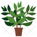پیش‌نمایش فایل henna-potted-plant-1668145 از پک گیاهان آپارتمانی زینتی