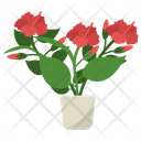 پیش‌نمایش فایل hibiscus-flower-plant-1668148 از پک گیاهان آپارتمانی زینتی