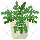 پیش‌نمایش فایل indoor-plant-1668158 از پک گیاهان آپارتمانی زینتی
