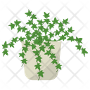 پیش‌نمایش فایل ivy-potted-plant-1668154 از پک گیاهان آپارتمانی زینتی