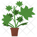پیش‌نمایش فایل ladys-mantle-plant-1668164 از پک گیاهان آپارتمانی زینتی