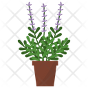 پیش‌نمایش فایل lavender-potted-plant-1668190 از پک گیاهان آپارتمانی زینتی