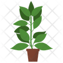 پیش‌نمایش فایل lemon-potted-plant-1668147 از پک گیاهان آپارتمانی زینتی
