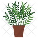 پیش‌نمایش فایل licorice-potted-plant-1668183 از پک گیاهان آپارتمانی زینتی