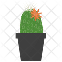 پیش‌نمایش فایل mammillaria-potted-plant-1668218 از پک گیاهان آپارتمانی زینتی
