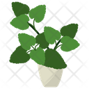 پیش‌نمایش فایل melissa-potted-plant-1668196 از پک گیاهان آپارتمانی زینتی
