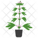 پیش‌نمایش فایل motherwort-potted-plant-1668168 از پک گیاهان آپارتمانی زینتی