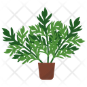 پیش‌نمایش فایل mugwort-potted-plant-1668170 از پک گیاهان آپارتمانی زینتی