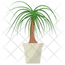 پیش‌نمایش فایل nolina-potted-plant-1668227 از پک گیاهان آپارتمانی زینتی