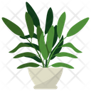 پیش‌نمایش فایل olive-potted-plant-1668153 از پک گیاهان آپارتمانی زینتی