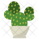 پیش‌نمایش فایل opuntia-houseplant-1668202 از پک گیاهان آپارتمانی زینتی