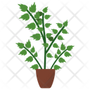 پیش‌نمایش فایل oregano-potted-plant-1668186 از پک گیاهان آپارتمانی زینتی