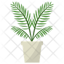 پیش‌نمایش فایل parlor-palm-plant-1668210 از پک گیاهان آپارتمانی زینتی